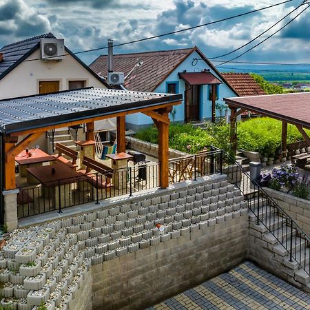 Vinoza - Ubytovani A Vinny Sklep Velke Bilovice Rulandova Exterior foto