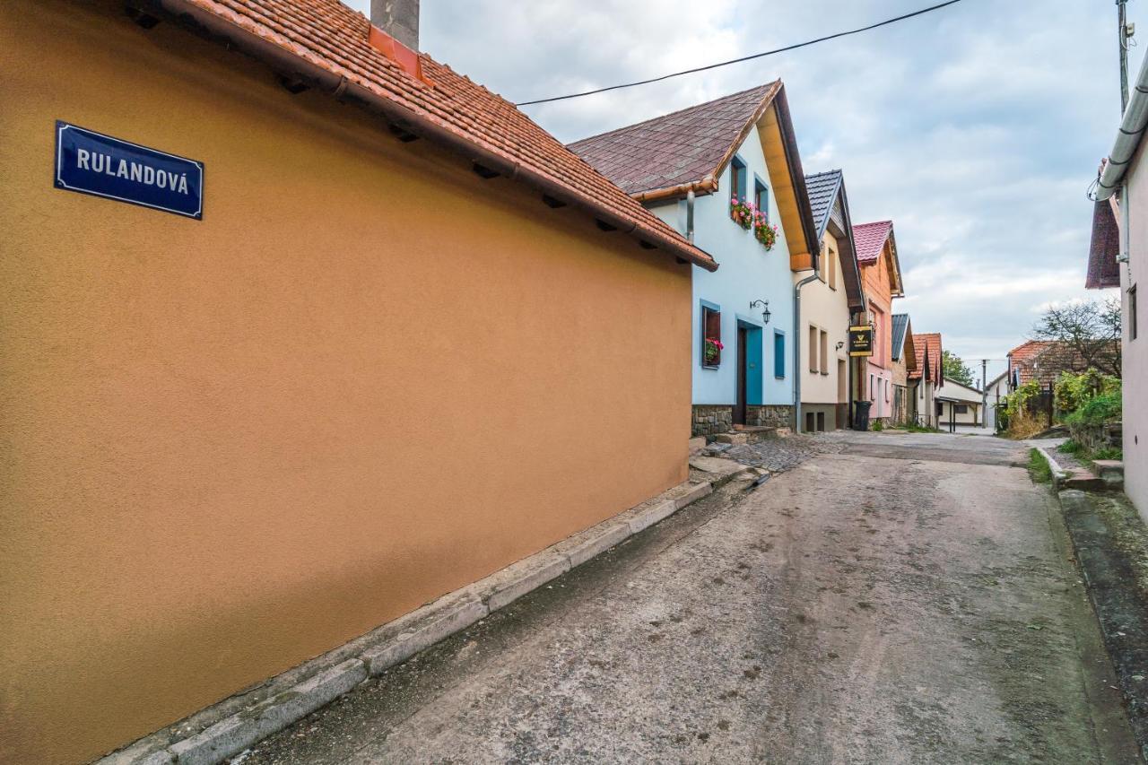 Vinoza - Ubytovani A Vinny Sklep Velke Bilovice Rulandova Exterior foto