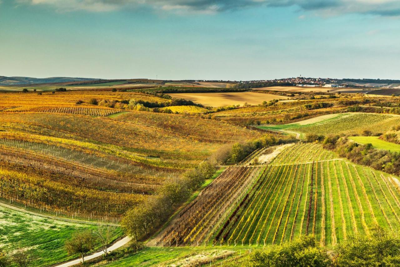 Vinoza - Ubytovani A Vinny Sklep Velke Bilovice Rulandova Exterior foto