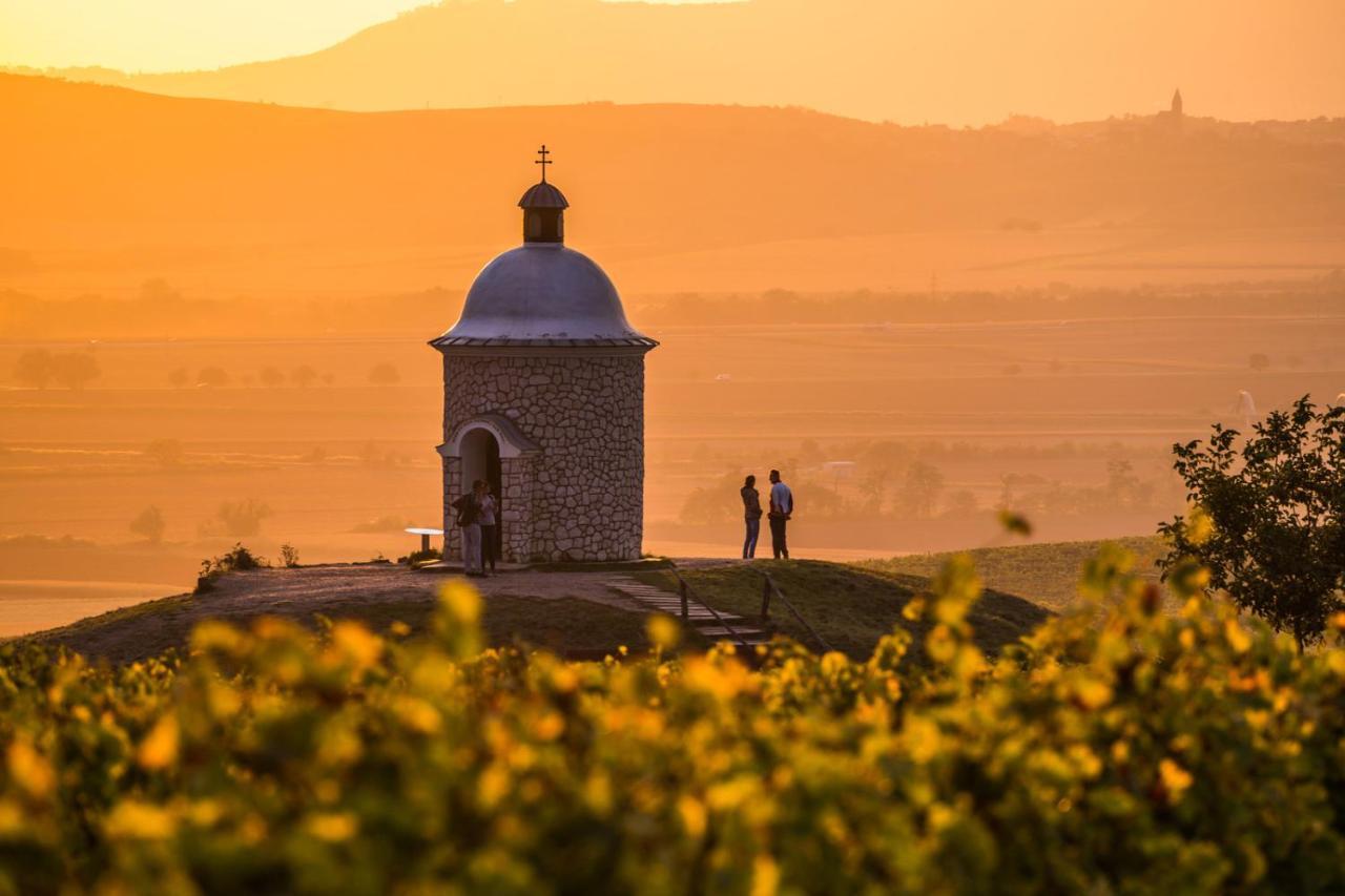 Vinoza - Ubytovani A Vinny Sklep Velke Bilovice Rulandova Exterior foto