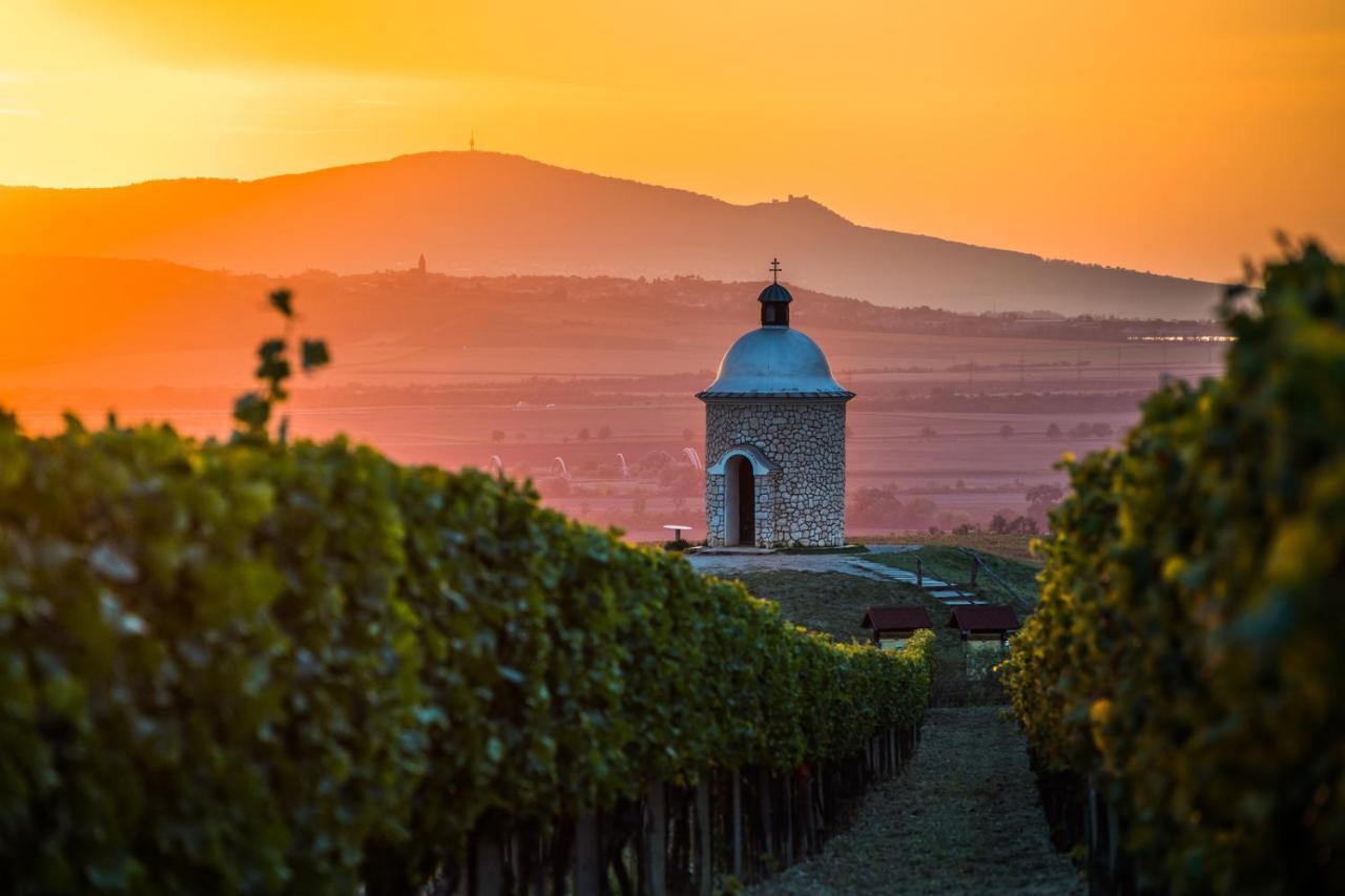 Vinoza - Ubytovani A Vinny Sklep Velke Bilovice Rulandova Exterior foto