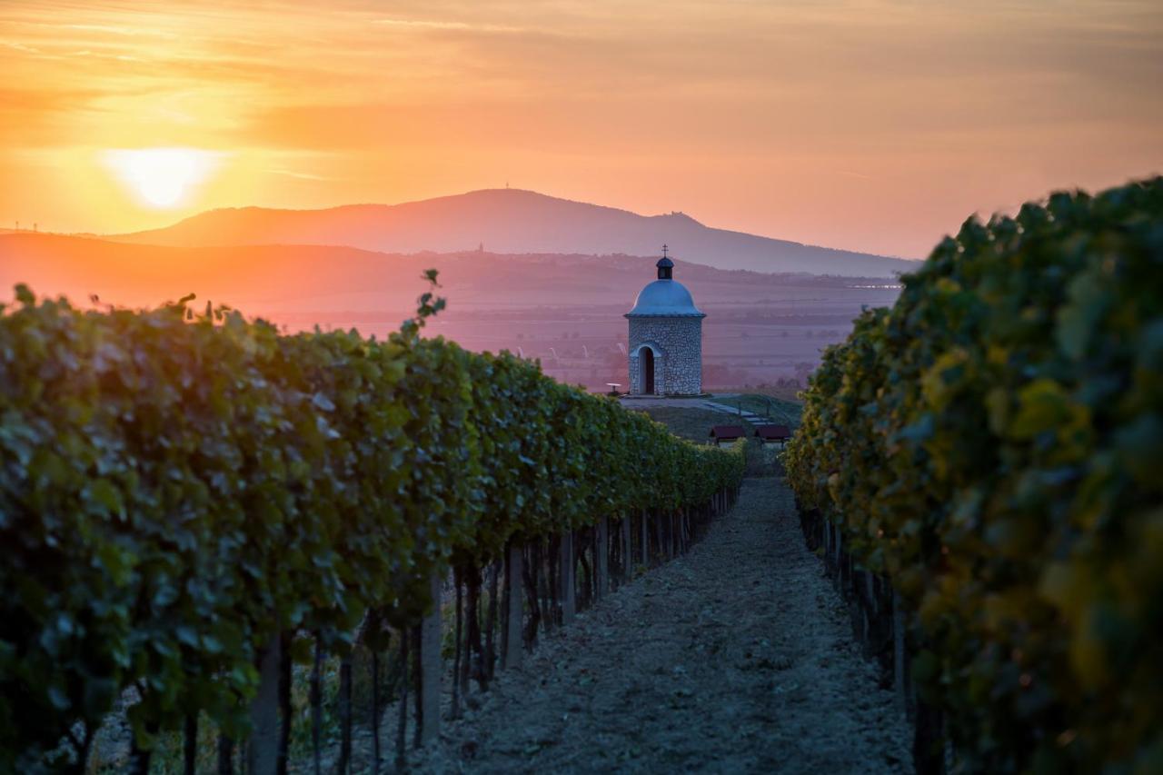 Vinoza - Ubytovani A Vinny Sklep Velke Bilovice Rulandova Exterior foto