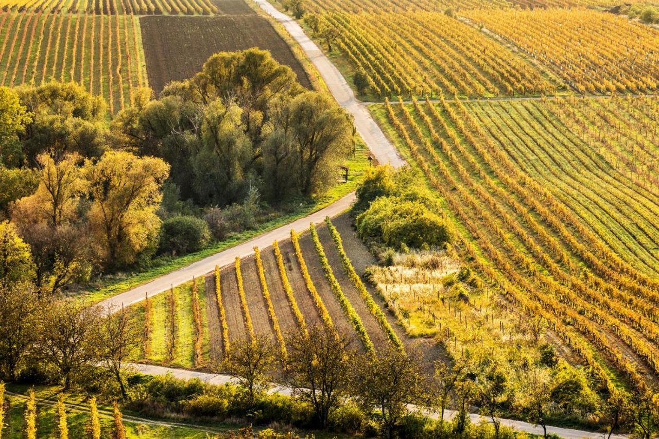 Vinoza - Ubytovani A Vinny Sklep Velke Bilovice Rulandova Exterior foto